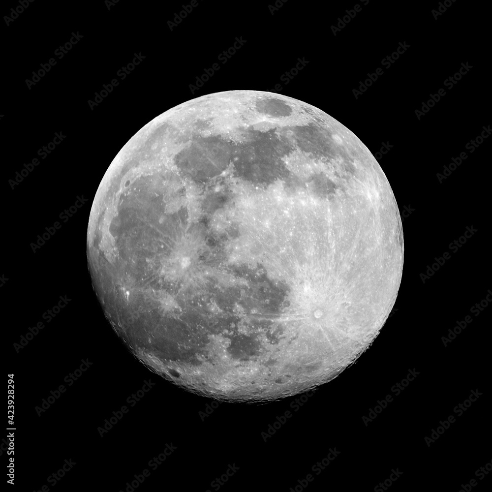 Fototapeta premium moon