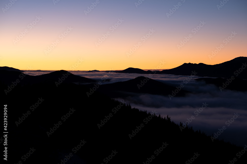 Distant dark mountain hills covered with dense pine forest surrounded with white foggy clouds at sunrise.