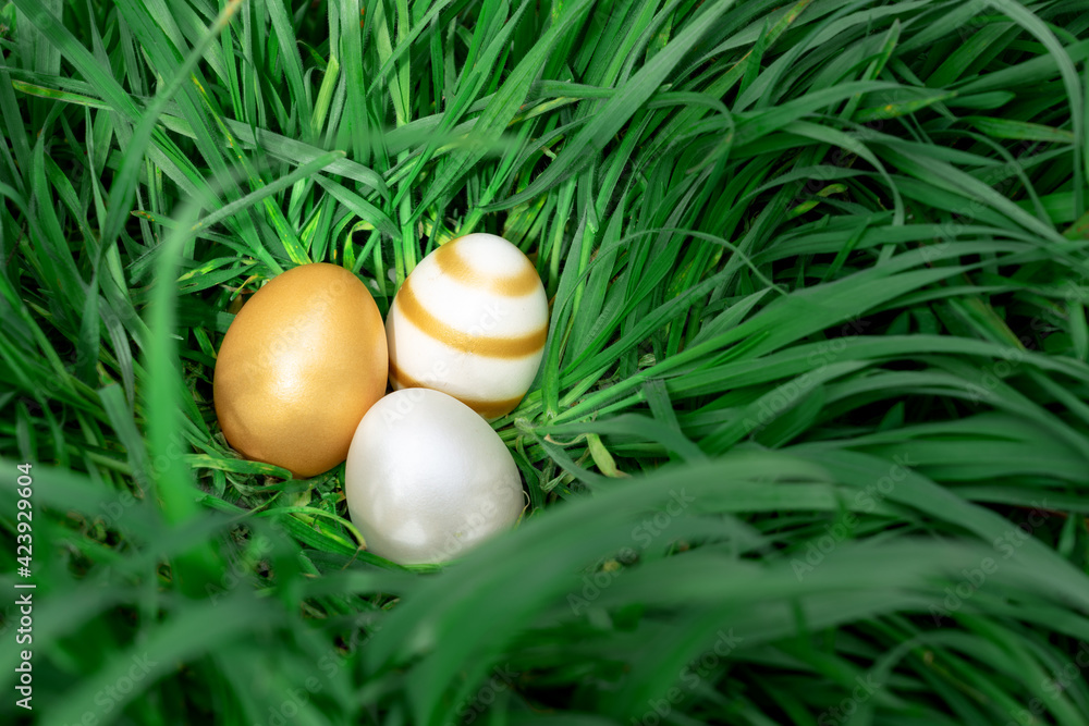 elegant gold white shiny eater eggs hiding in the big green grass elegant gold white shiny eater eggs hiding in the big green grass