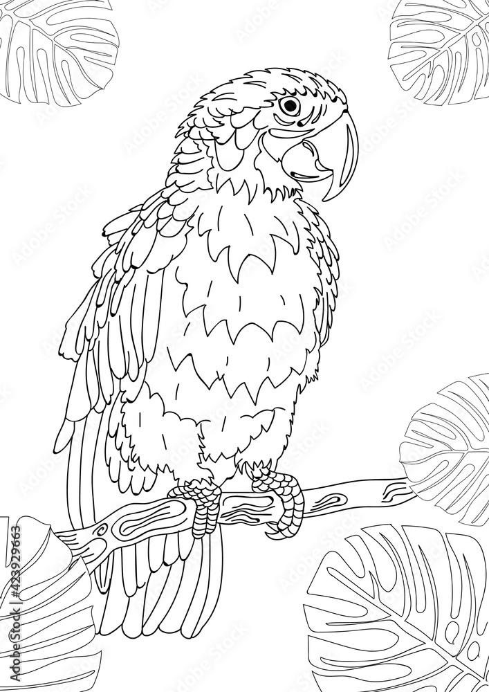 Cute parrot and tropical leaves on white background, illustration. Coloring page