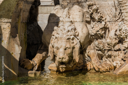 The king of the jungle. Crouching lion marble statue in Navona Square fountain in Rome (17th century)