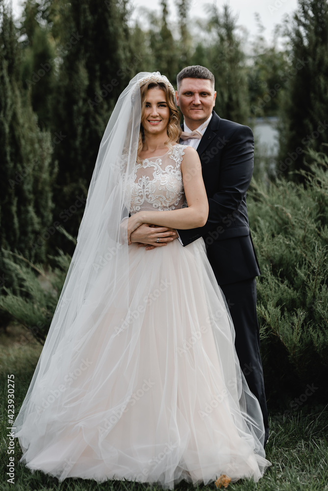 beautiful newlyweds are walking in the park. wedding couple in nature. portrait of the bride and groom. wedding day of a couple in love. thuja on the background of young people.
