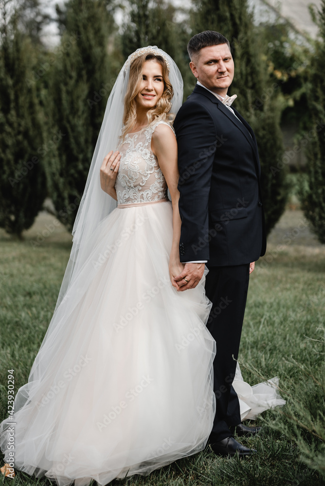 beautiful newlyweds are walking in the park. wedding couple in nature. portrait of the bride and groom. wedding day of a couple in love. thuja on the background of young people.