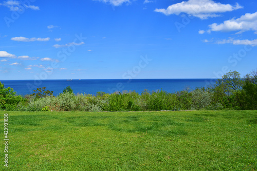 Fototapeta Naklejka Na Ścianę i Meble -  green meadow and blue sea. sunny summer day, seascape. A beautiful shot of green fields on a cliff with a ship on the sea in the background. summer rest