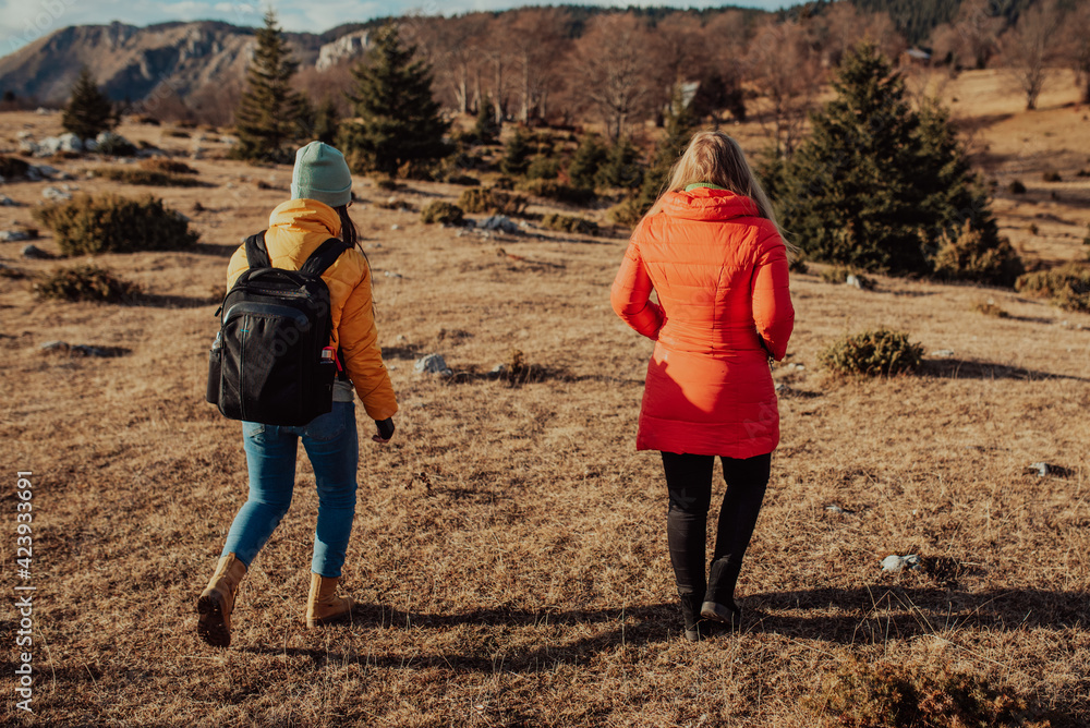 two friends are walking in nature and enjoying a beautiful sunny day. two friends are walking in nature and enjoying a beautiful sunny day.