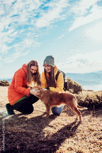 two friends are playing with a dog in nature