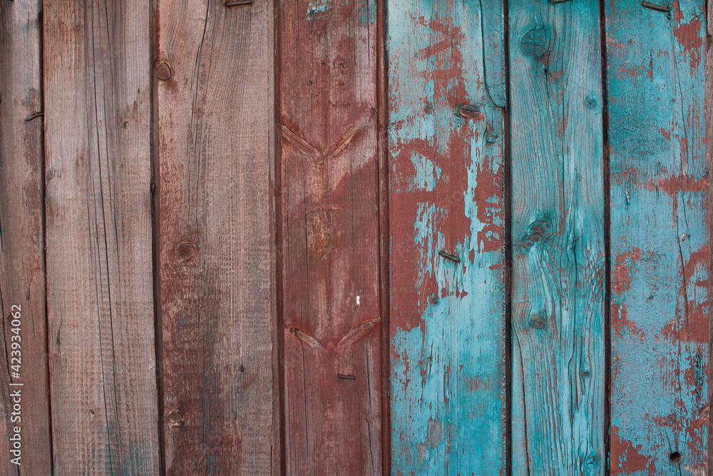 Obraz premium old painted wood texture. boards with cracks and nails driven in.