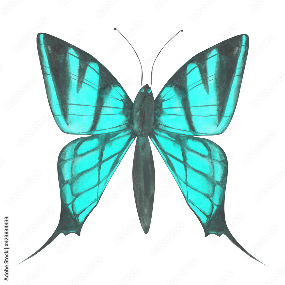 Cute butterfly clipart. Blue watercolor butterfly isolated on a white ...