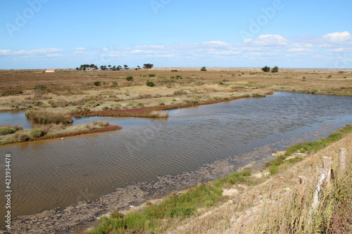 marsh and prairies on noirmoutier island in vendée (france) 