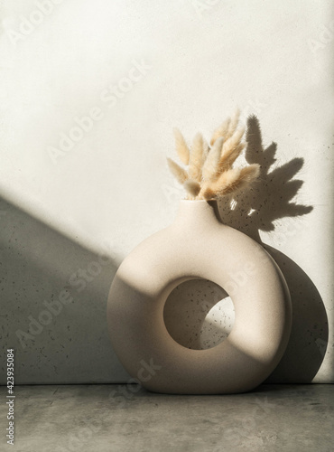 Round stylish ceramic vase with dried flower lagurus casting shadows