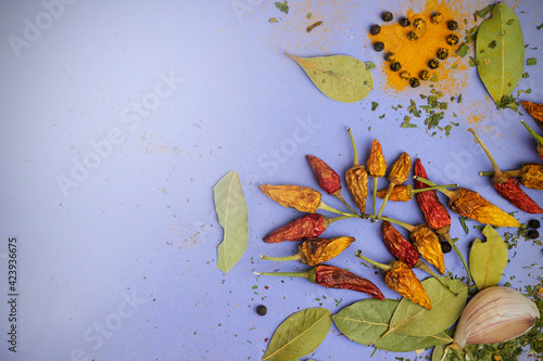 Colorful kitchen spices on a blue background