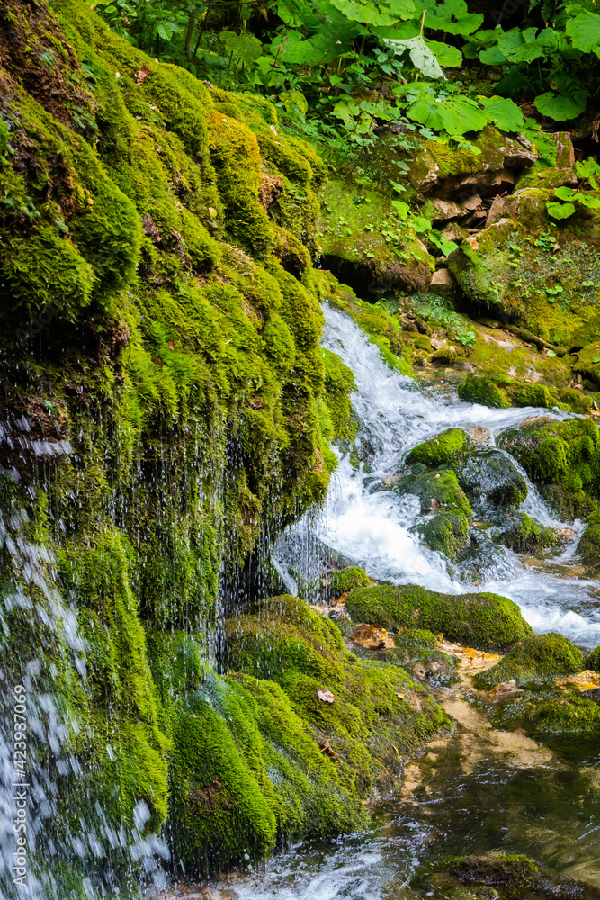 Obraz premium Ecology and nature. The source of clean drinking spring water among stone rocks and moist fresh green moss