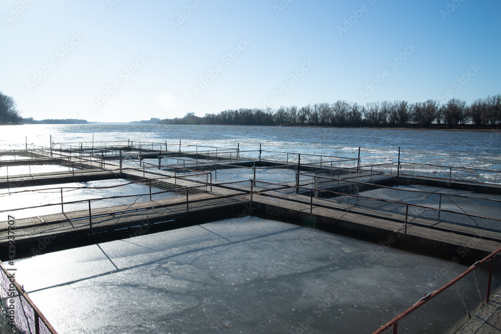 Cages for fish farming in the natural river