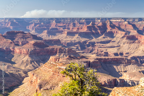 The Grand Canyon, Arizona, United States