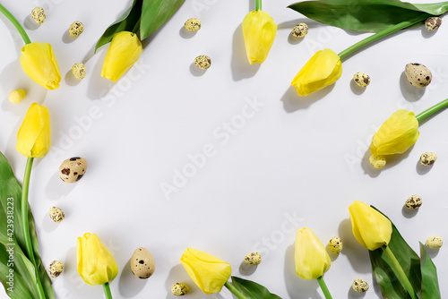 Photography Colorful easter quail eggs and tulips on white background
