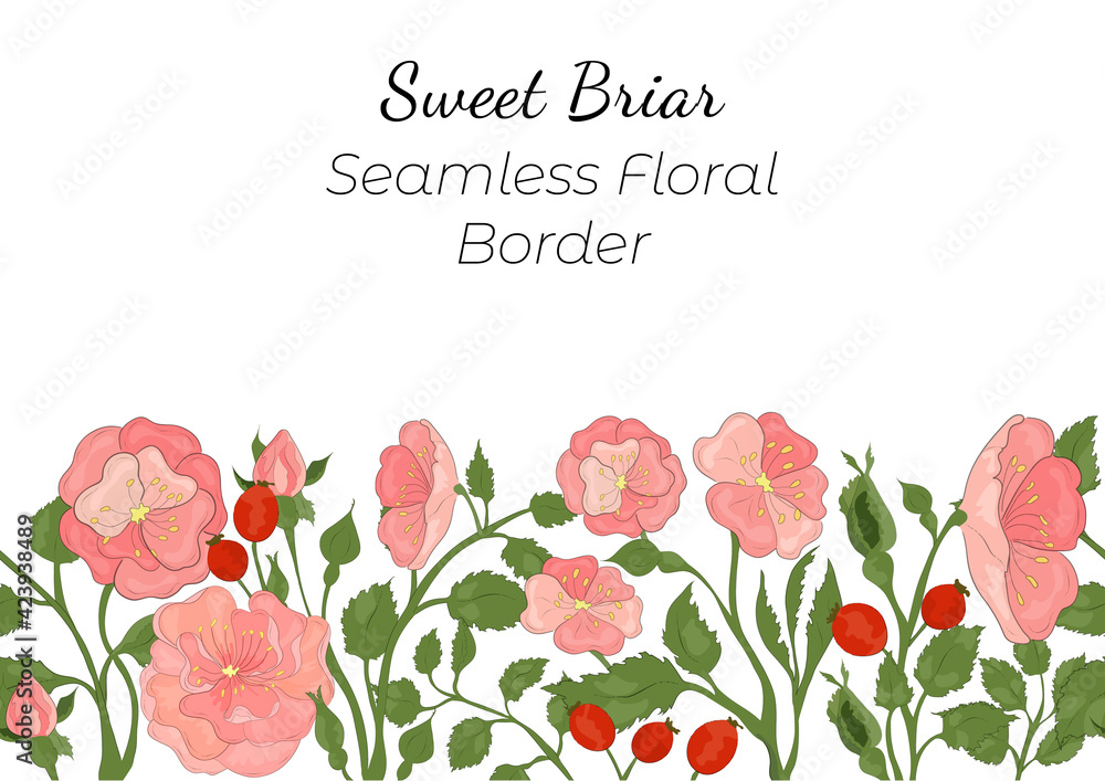 Seamless Border Made with Hand Drawn Roses