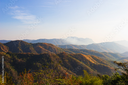 Plants and wild flowers on the mountain, views of the mountains in Phetchabun Province, Thailand. © death_rip