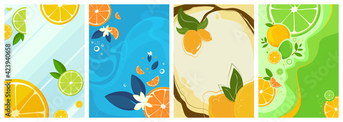 Collection of citrus fruit posters. Flyer templates in flat design.