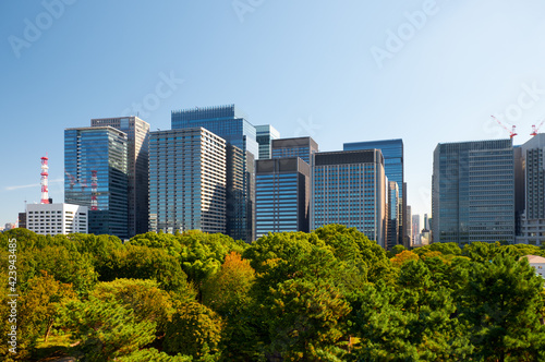 Skyscrapers of Marunouchi district  viewed from Imperial Palace gardens. Tokyo. Japan