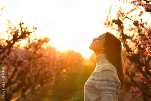 Woman breathing at sunrise in a field photo