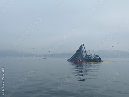Fisherman boat with a big huge fishnet collecting fish from the bosphorus early morning in mist. Grey sea water and cloudy skies. Sea birds flying above the boat.