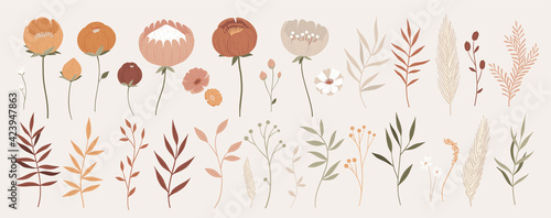 Big collection of floral elements with hand drawn outline. Vector illustration chamomile, poppy, pussy willow, leaves and branches in pastel colors. Tender flowers for your design.