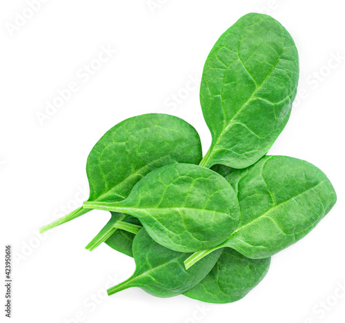 Fresh Spinach leaves isolated on white background. Various greens Spinach Macro. Top view. Flat lay..