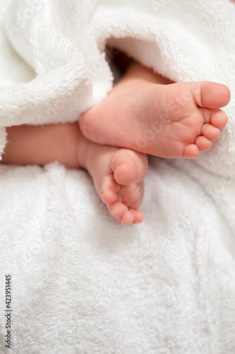 Infants and Newborns Concepts. Macro Closeup Shoot of a Four Week Old Baby Boy Feet Over White Towel.