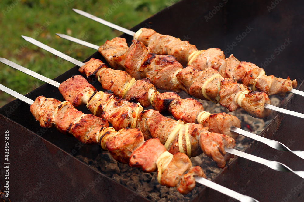 Meat skewers on grill. Beef Skewers With A Slice Of Onion On A Flaming Barbecue Grill. Grilled shish kebabs.