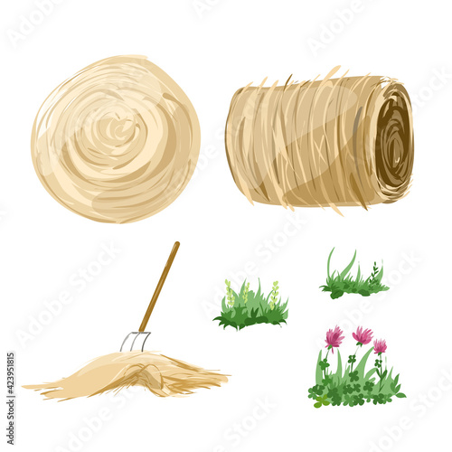 Dry hay and green grass for pets