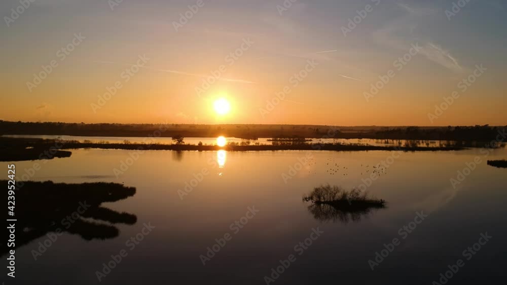 Golden hour sunset lake silhouette flock of birds flying by beautiful Golden hour sunset lake silhouette flock of birds flying by beautiful