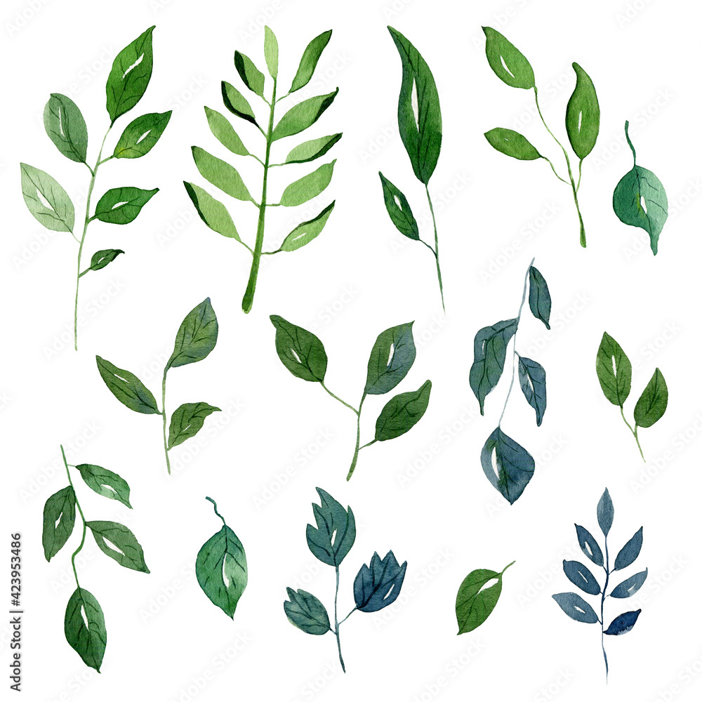 Leaves, greens and foliage. Backgrounds and wallpapers for invitations, cards, fabrics, packaging, textiles, posters. Watercolor floral illustration.

