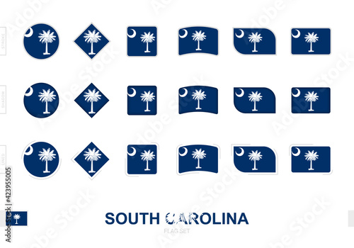 South Carolina flag set, simple flags of South Carolina with three different effects.