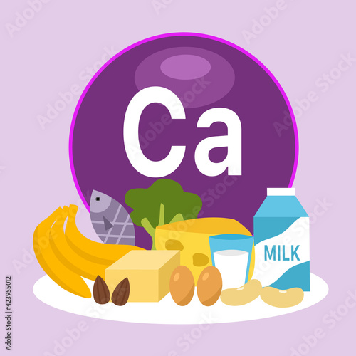 High calcium foods infographic vector illustration. Healthy food. Essential nutrition for health.