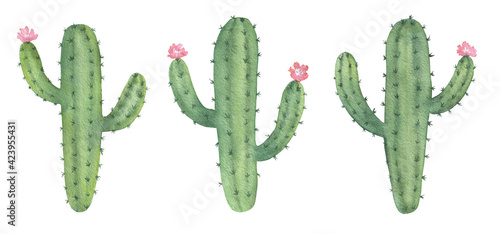 Watercolor Cactuses Set