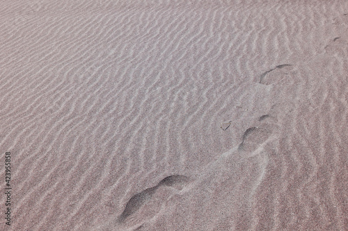 footsteps at the beach 