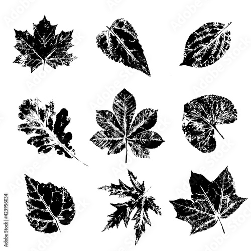 Ink print leaves. Black ink prints of leaves of trees and bushes