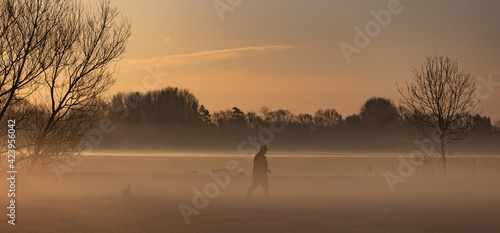 Morning Dog Walk