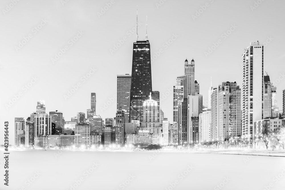 Naklejka premium chicago skyline