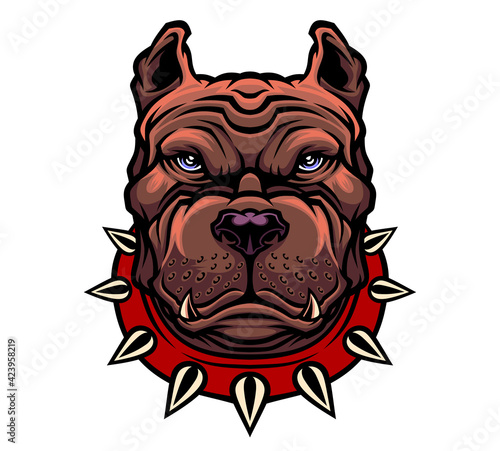 American Pitbull Terrier dog head.	