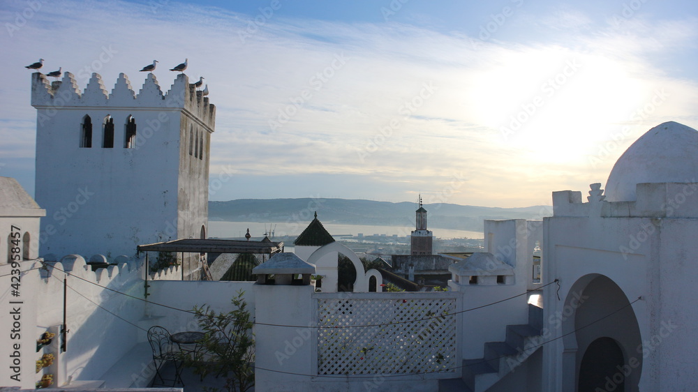 Birds perched on a white castle in Tangier