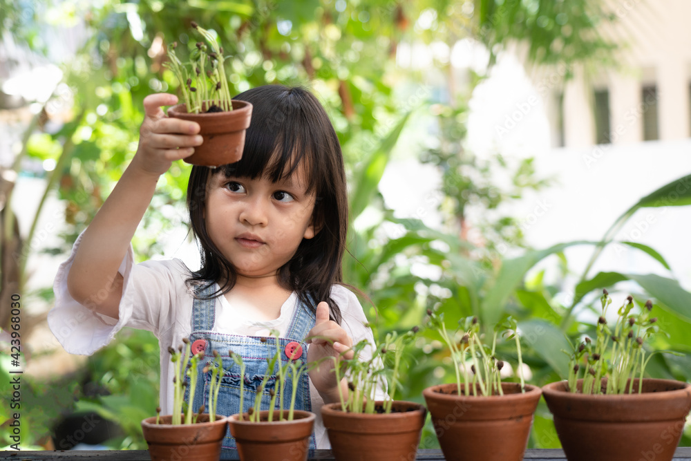 Active asian little girl watching on the pot of the plant to learn how the plant is growing in the garden outside the house, concept of kid learning activity for the nature and planting. Active asian little girl watching on the pot of the plant to learn how the plant is growing in the garden outside the house, concept of kid learning activity for the nature and planting.