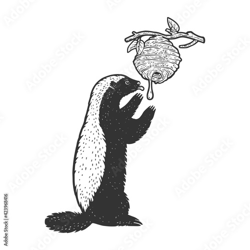 Tablou canvas Honey badger ratel eats honey from wild bees hive animal sketch engraving vector illustration