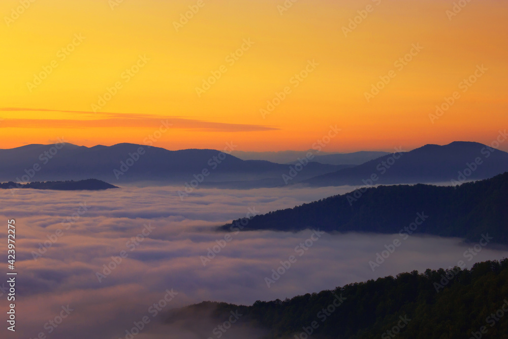 scenic foggy summer sunrise scenery, stunning landscape in the mountains, mountains hills and wonderful morning sky, Carpathian mountains, Ukraine, Europe