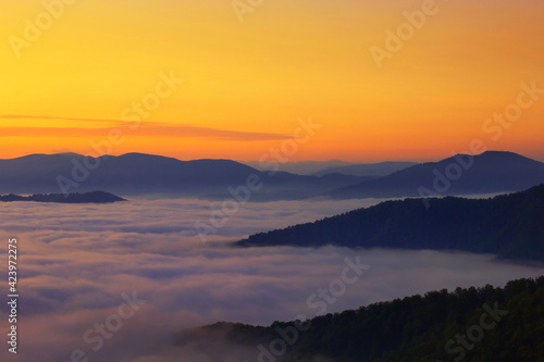 scenic foggy summer sunrise scenery, stunning landscape in the mountains, mountains hills and wonderful morning sky, Carpathian mountains, Ukraine, Europe