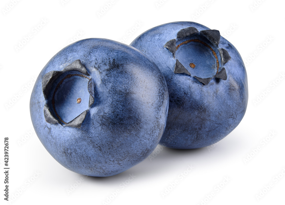 Blueberry isolated. Two blueberries on white. Fresh blueberry side view. With clipping path. - obrazy, fototapety, plakaty 