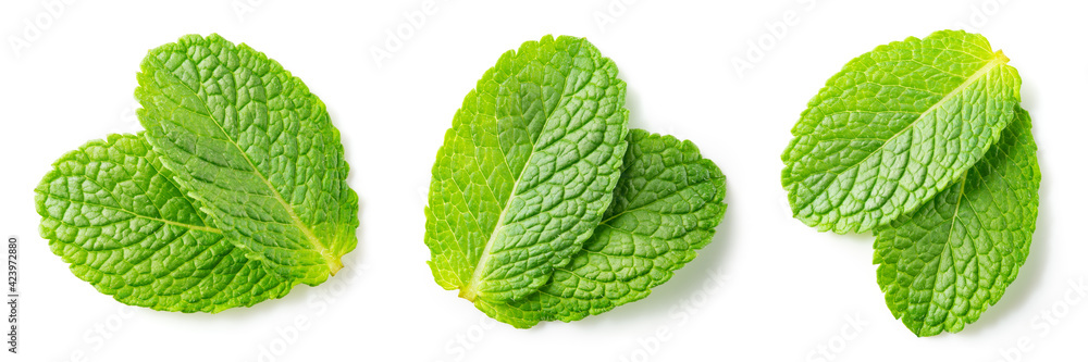 Mint leaf isolated. Fresh mint on white background. Set of mint leaves. Full depth of field. - obrazy, fototapety, plakaty 