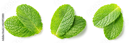 Mint leaf isolated. Fresh mint on white background. Set of mint leaves. Full depth of field.