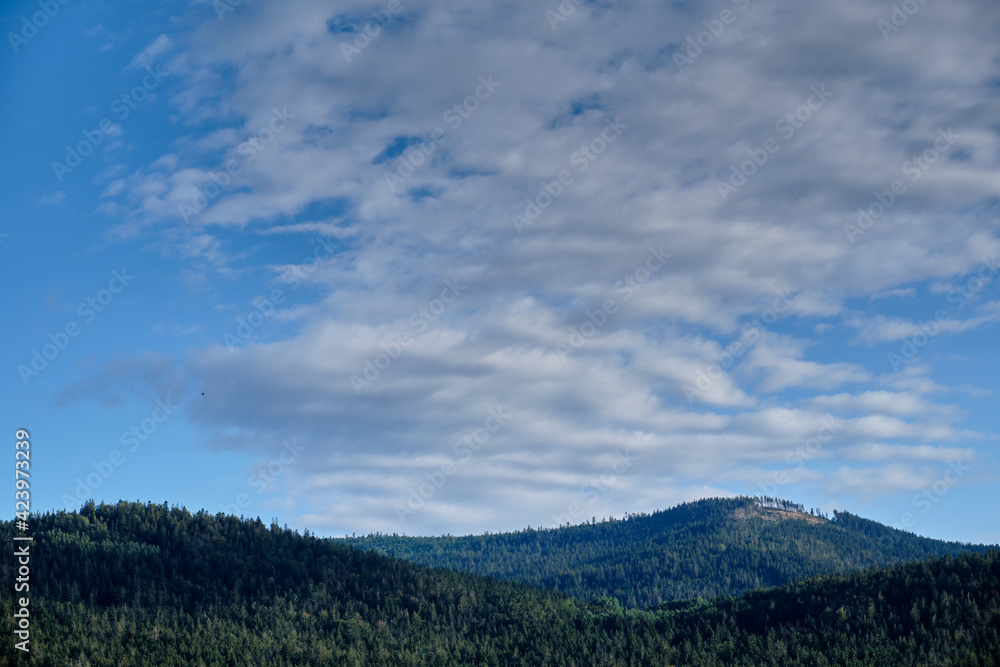 Evening view onto the wooded mountains of the Bavarian Forest around  Frahels - Lam with blue sky with clouds on a summer day. Seen in Germany in August.