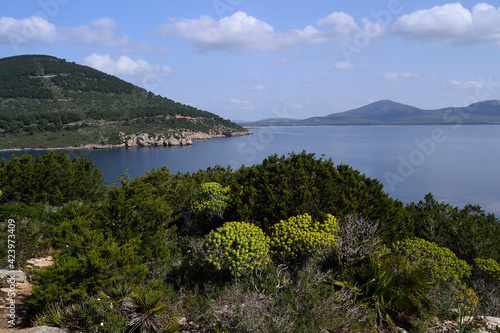 Veduta della baia di Tramariglio